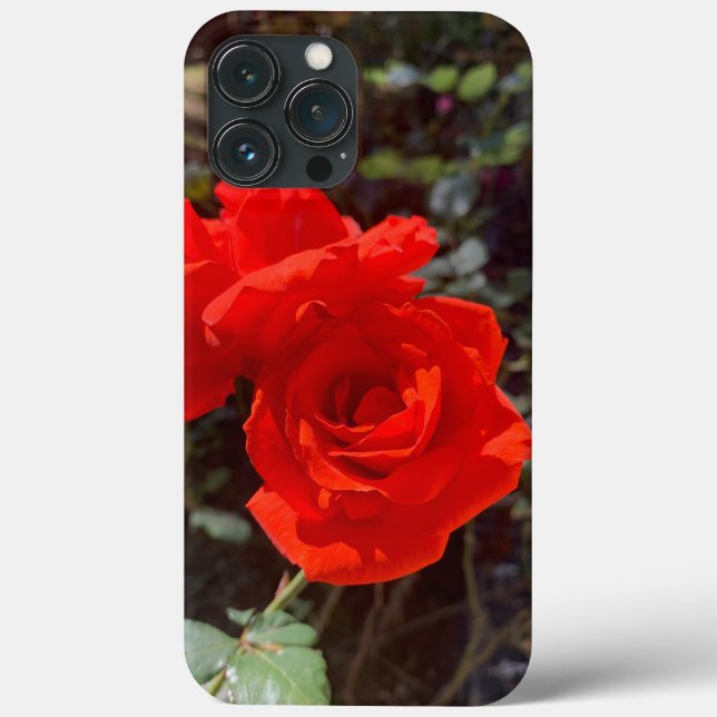 Röd ros iPhone 13 Pro Max Fodral (Baksida)