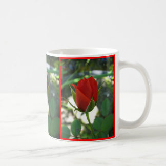 Röd ros kaffemugg