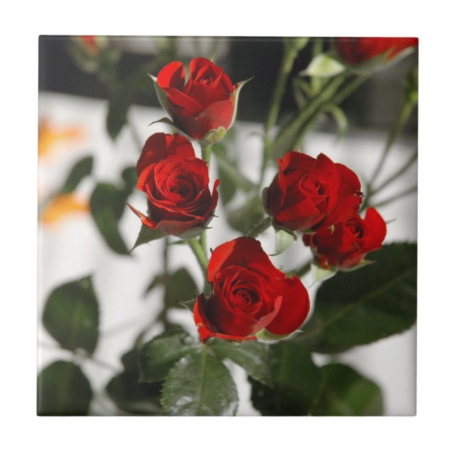 Röd ros kakelplatta (Framsidan)