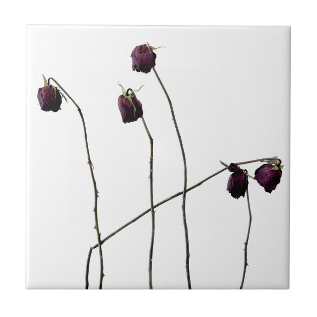 Röd ros kakelplatta (Framsidan)