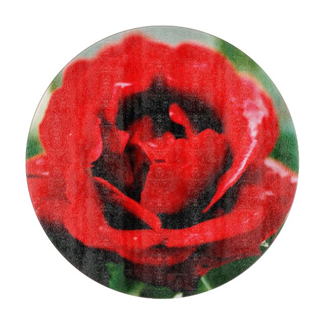 Röd ros Kärlek (Framsidan)