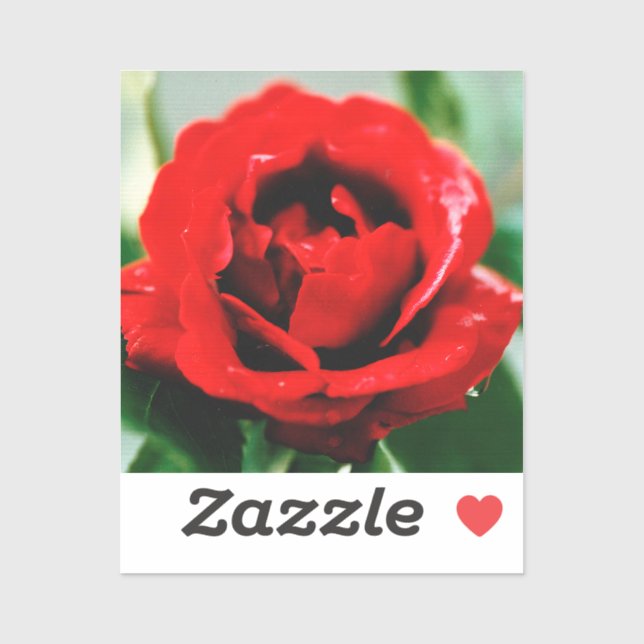 Röd ros Kärlek Klistermärken (Ark)