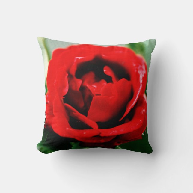 Röd Ros Kärlek  Kudde (Framsida)