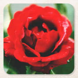 Röd ros Kärlek Underlägg Papper Kvadrat