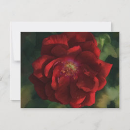 Röd Ros Konst Blomma Blommig Notkort Set Anteckningskort