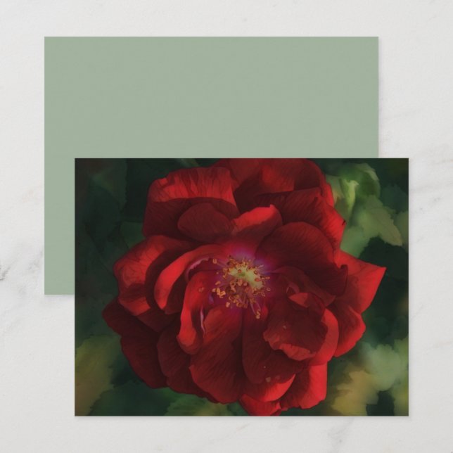 Röd Ros Konst Blomma Blommig Notkort Set Anteckningskort (Fram/baksida)