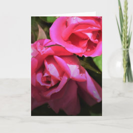 Röd ros, kort