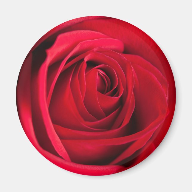 Röd ros magnet (Framsidan)