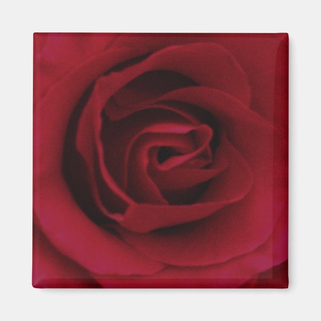 Röd ros Magnet (Framsidan)