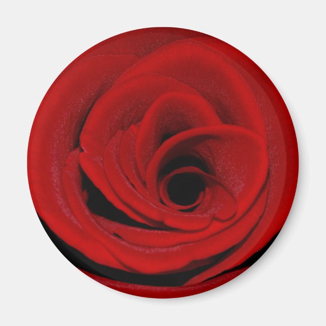 Röd ros Magnet (Framsidan)