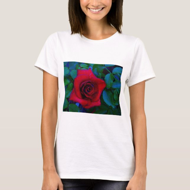 Röd ros med blå toner t-shirt (Framsida)