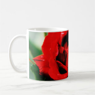 Röd ros med dryga droppar kaffemugg