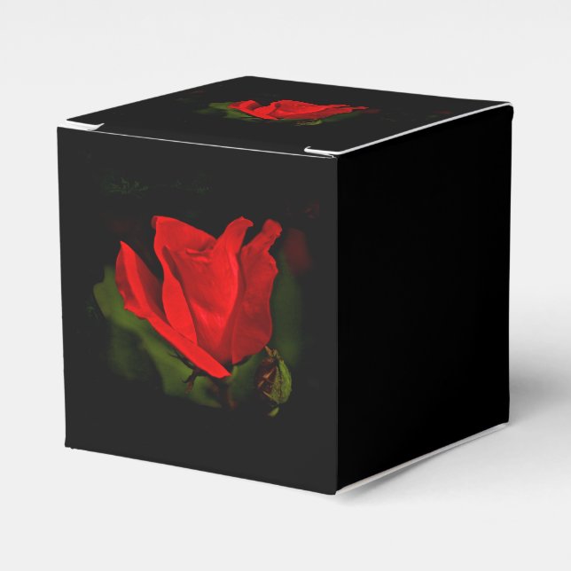Röd ros - Mörkens passion Presentaskar (Framsidan Sidan)