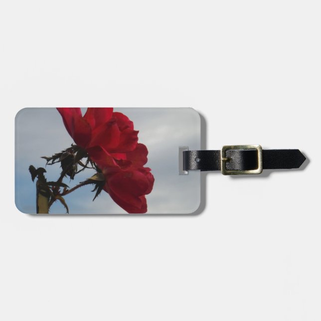 Röd ros mot ett Bright Blå himmel Bagagebricka (Horisontell Framsida)
