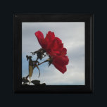 Röd ros mot ett Bright Blå himmel Smyckeskrin<br><div class="desc">Röd ros Mot ett foto av Sandy Closs från Bright Blå himmel,  taget i Sjö Arrowhad. Valentineser,  "Alla hjärtans dag"röd ros""röd ros""rosa ros""rosa ros""bröllop""kärlek-gåva""rödblommor""rödblommor""röd blommigt" röd blått ro "gåvor med rosor"</div>