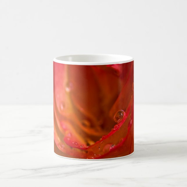 Röd ros nära kaffemugg (Center)