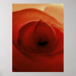 RÖD ROS NÄRBILD     POSTER