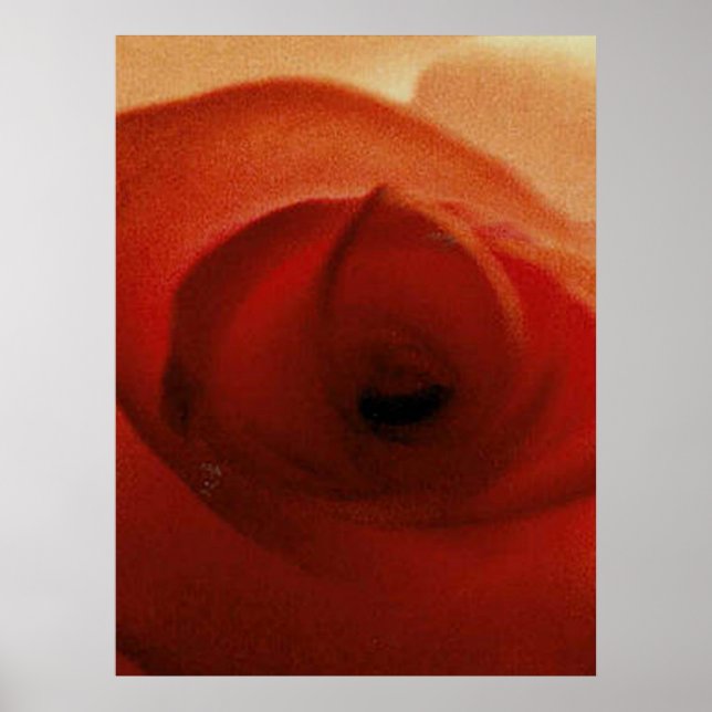 RÖD ROS NÄRBILD     POSTER (Framsidan)