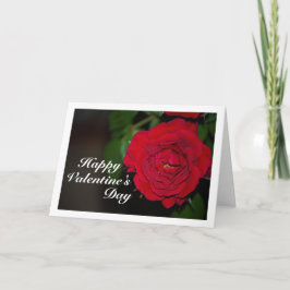 Röd ros Night Porträtt Kort