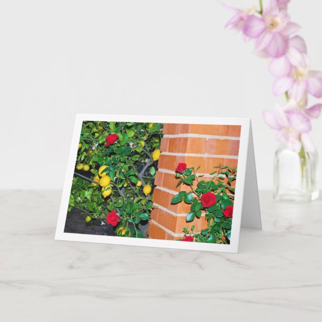 Röd ros och citroner kort (Orkide)