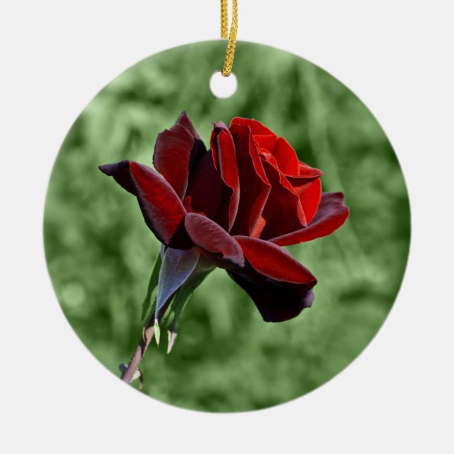 Röd Ros Ornament (Framsidan)