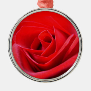 Röd ros Ornament Romantic Ro Dekoration