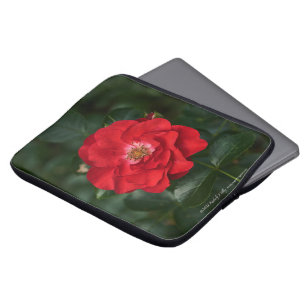 Röd ros P6568 Laptop Fodral