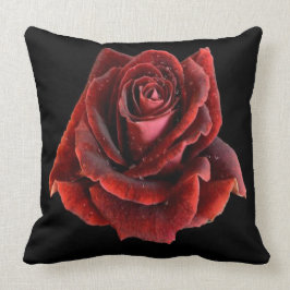 Röd ros på Black Pillow Cushion Kudde