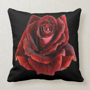 Röd ros på Black Pillow Cushion Kudde
