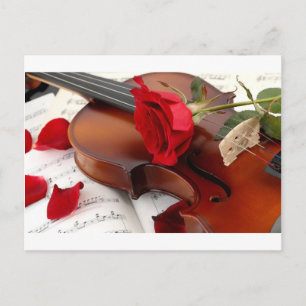 röd ros Petals Romantic Violin Music Vykort