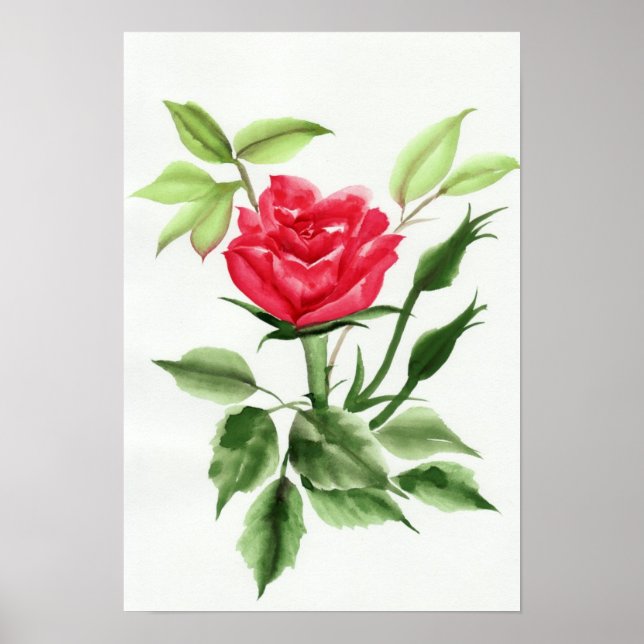 Röd ros poster (Framsidan)