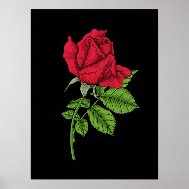 Röd ros poster (Framsidan)