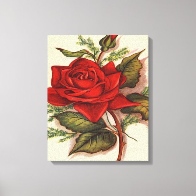 Röd ros Premium Wrapped Canvas (glans) (Framsida)