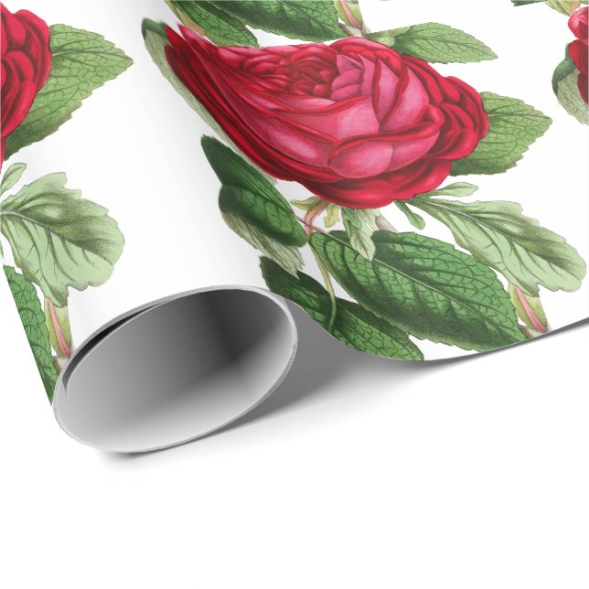 Röd ros presentpapper (Rullad Hörn)