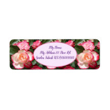 Röd ros Ro Vitblommor, Blommigt Garden