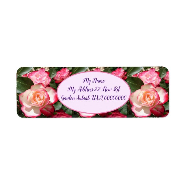 Röd ros Ro Vitblommor, Blommigt Garden Returadress Etikett (Framsidan)