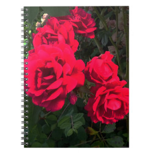 Röd ros Rosarium Notebook Anteckningsbok