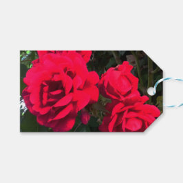 Röd ros Rosarium Presentetikett