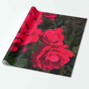 Röd ros Rosarium Presentpapper
