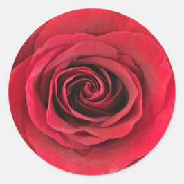 Röd ros Round Shape Stickers Runt Klistermärke