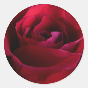 Röd ros Stickers Rosa Röd ros Gifts Keepsaké Runt Klistermärke