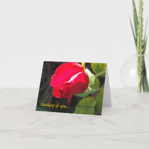 Röd ros - Tankning på dig - CA GardensCard Kort