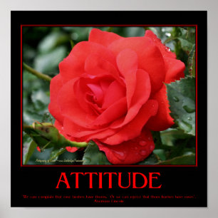Röd ros Thorns Inspirational Attitude Quote Poster