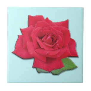 Röd ros Tile Kakelplatta