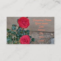 röd ros "two ro" blommigt blommor rödpetaler