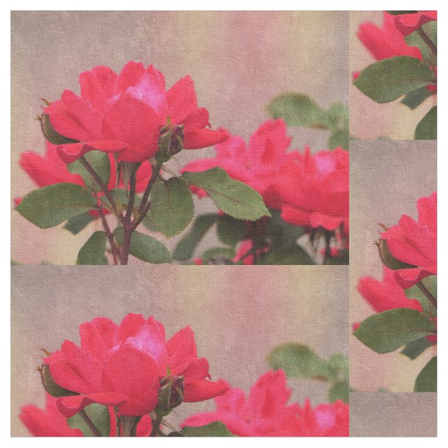 Röd ros tyg (Närbild)