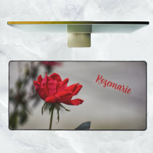 Röd ros Vackra fotografiska Blommigtar Grått
