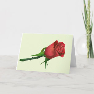 Röd ros Valentine Helgdag Card Helgkort