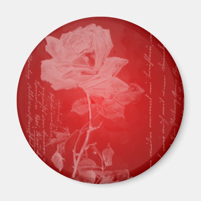 Röd ros Valentine Magnet (Framsidan)