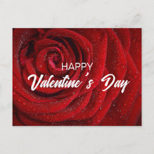 Röd ros, Valentine Vykort